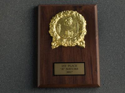 Image of a plaque given as an end of year competition award.