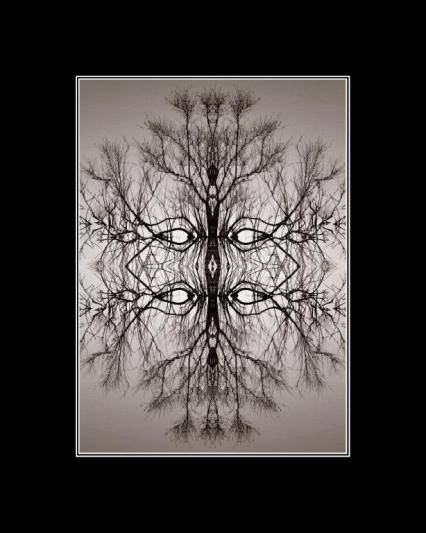 Competition entry: New Dali #1