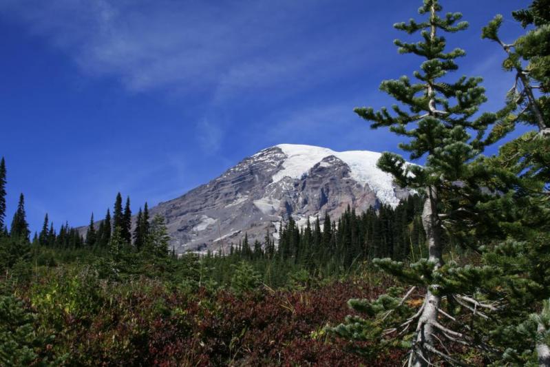 Competition entry: Ranier in July