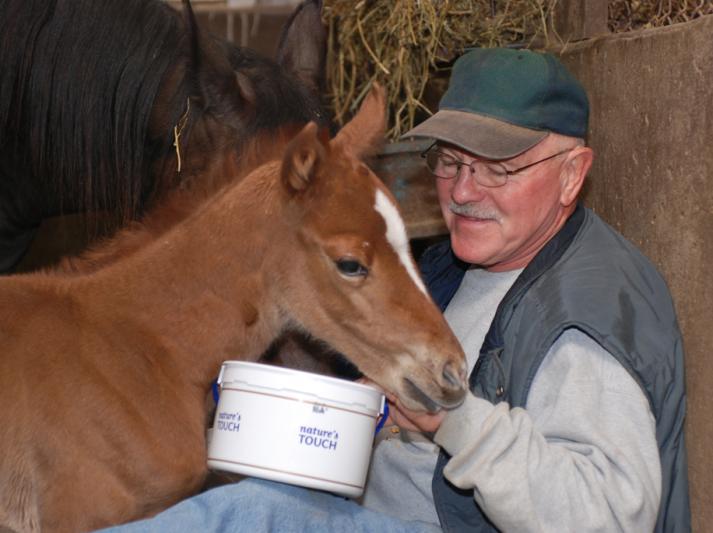 Competition entry: The Next Secretariat