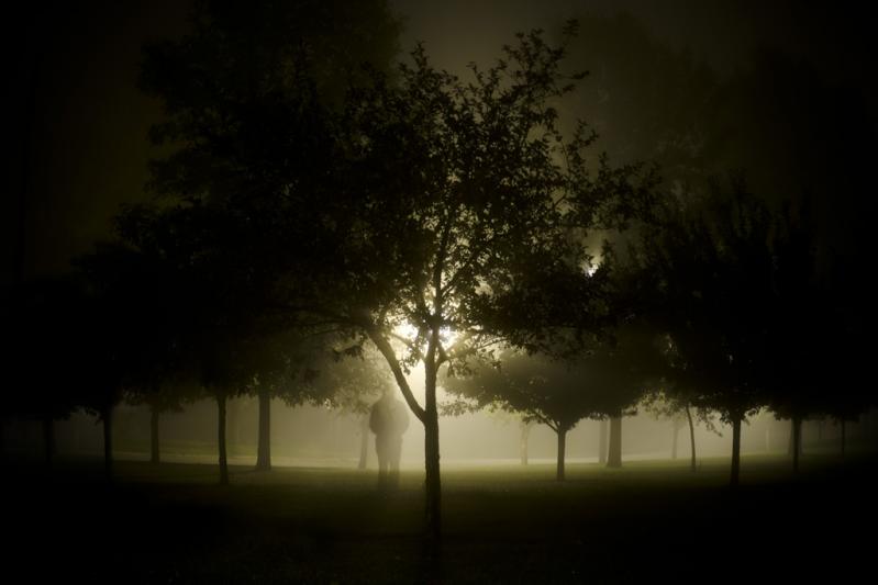 Competition entry: Abnet's Field