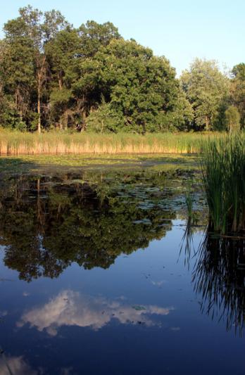 Competition entry: Fall Reflection