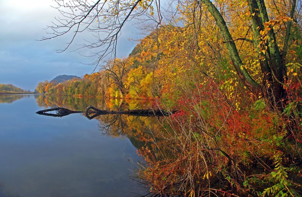 Competition entry: Serenity