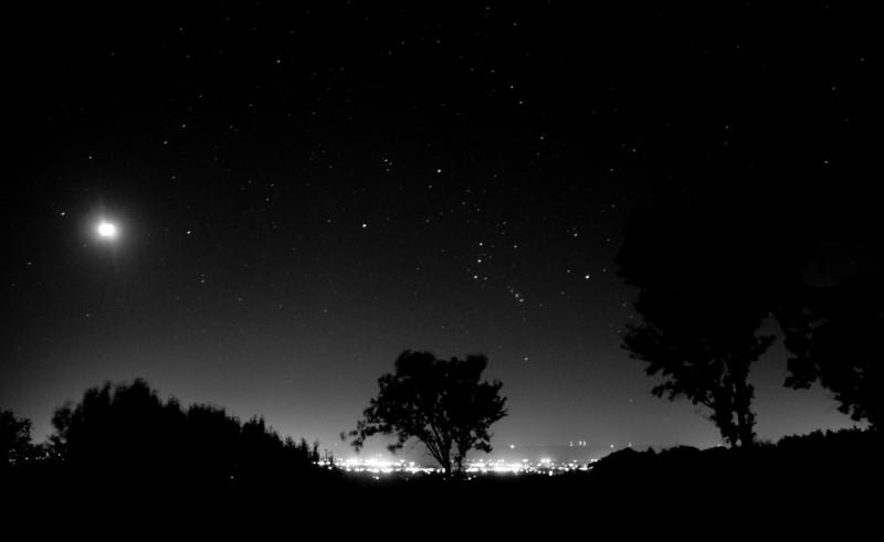 Competition entry: Orion Rising