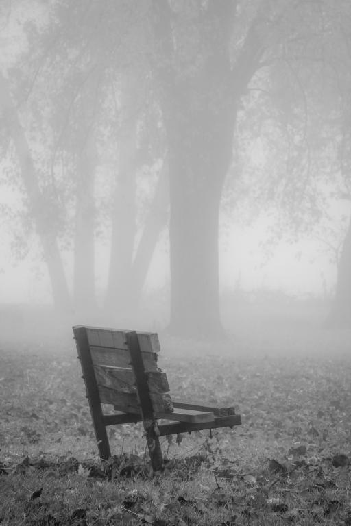 Competition entry: Old Park Bench