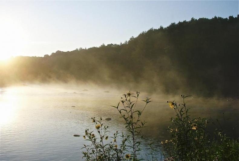 Competition entry: Morning Fog on the Flambeau 