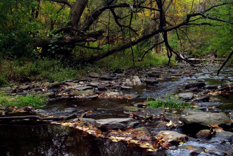 Competition entry: Rocky Stream