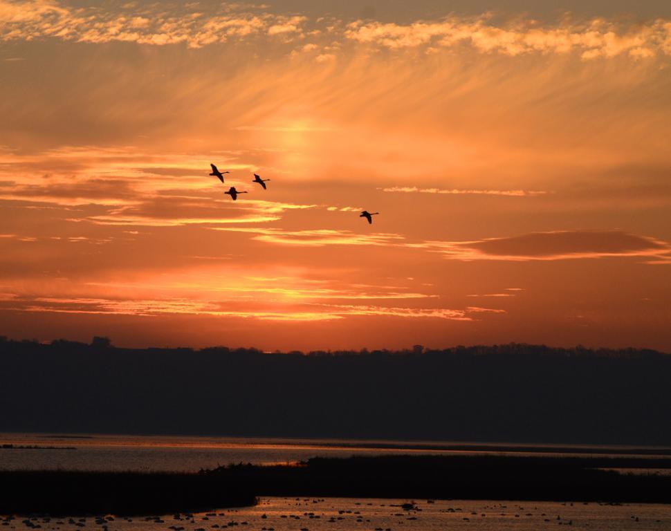 Competition entry: Brownsville Sunrise