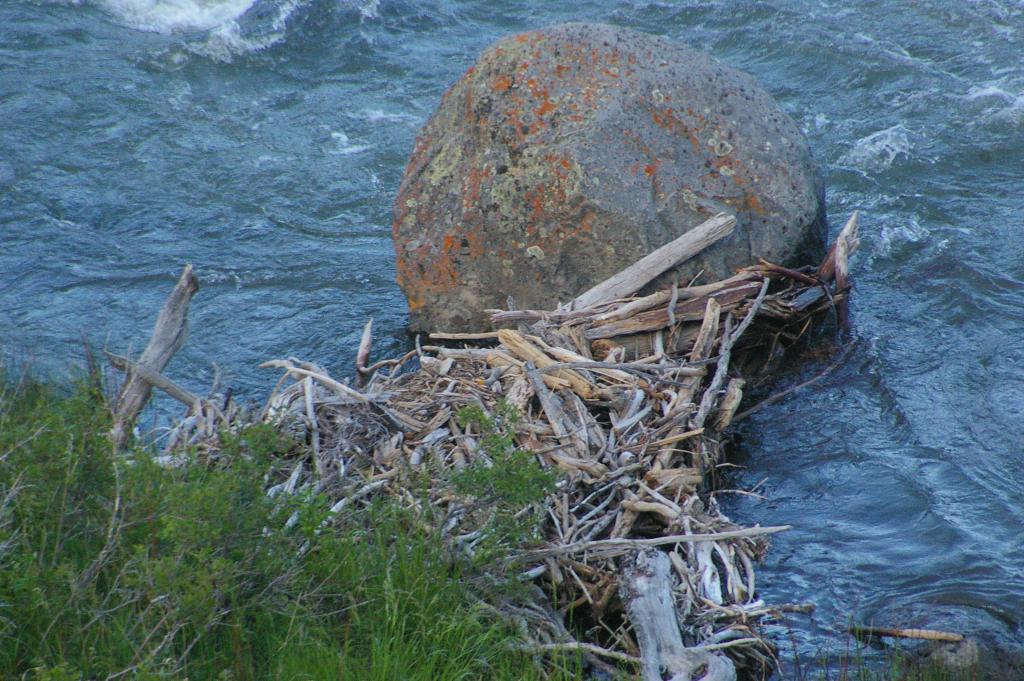 Competition entry: Our Favorite Rock