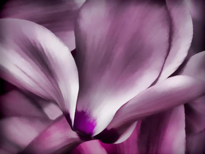 Competition entry: Pink