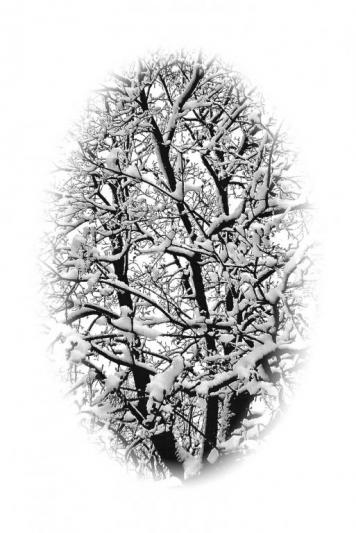 Competition entry: After a Spring Storm