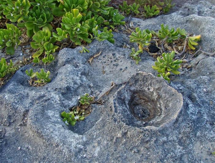 Competition entry: Old Old Lava Bed