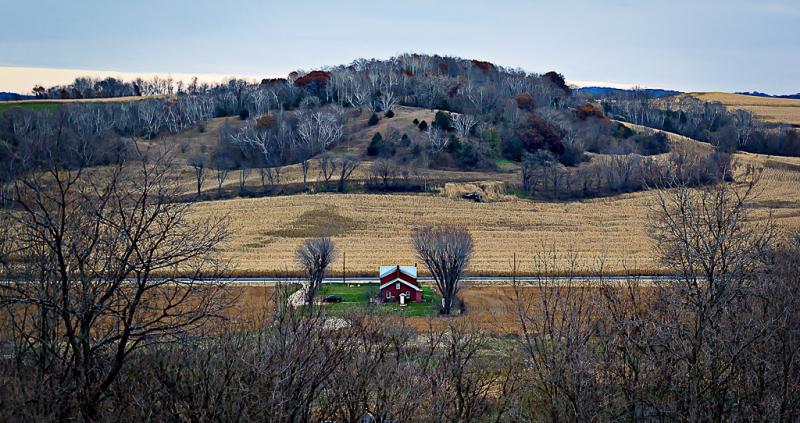 Competition entry: Red House 