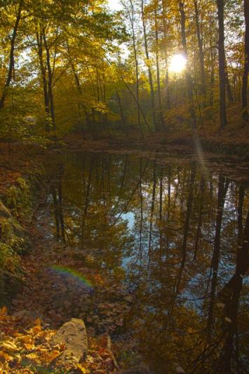 Competition entry: Pewit's Nest HDR