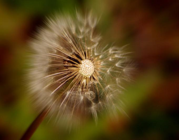 Competition entry: Last Days of fall