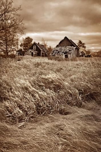 Competition entry: Mysterious Winds