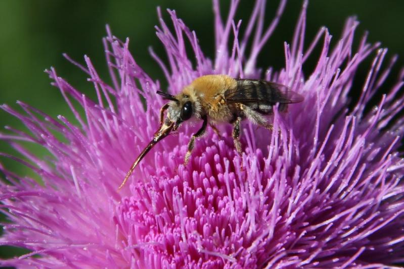 Competition entry: Breakfast