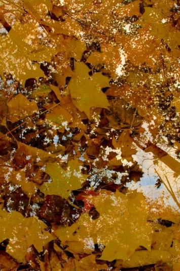 Competition entry: Top and Bottom