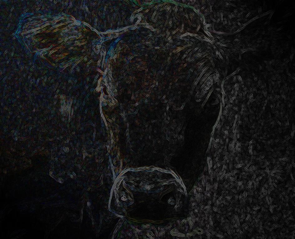 Competition entry: Holy Cow