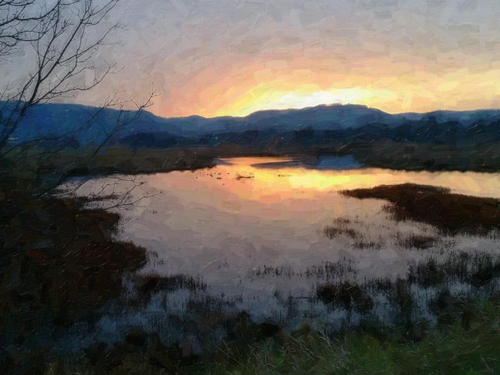 Competition entry: Marsh Sunrise