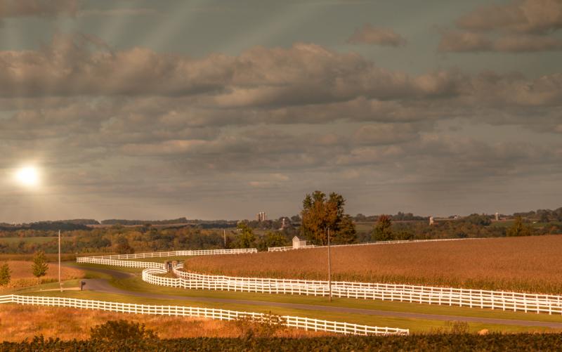 Competition entry: The Fence line