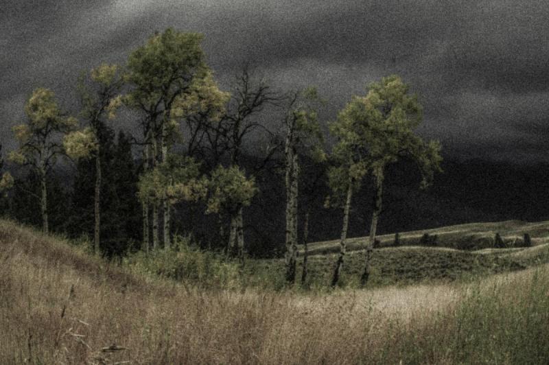 Competition entry: Aspen Valley