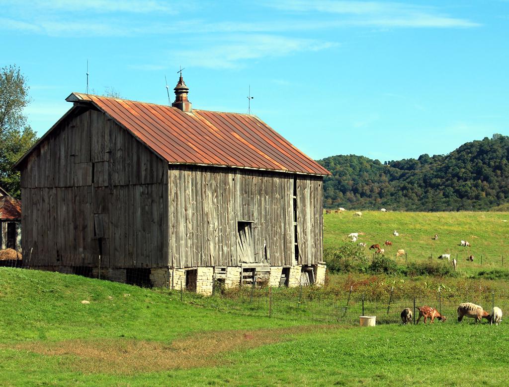 Competition entry: Goat Farm