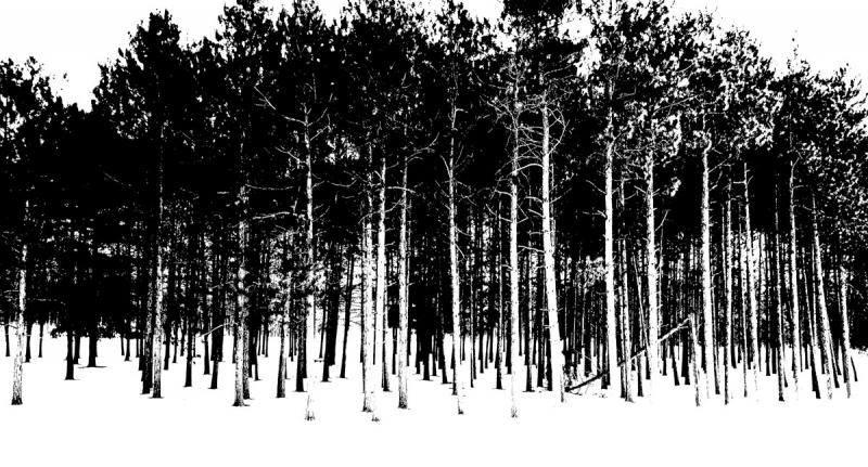 Competition entry: Black and White Print