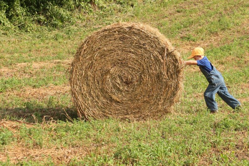 Competition entry: High Hopes