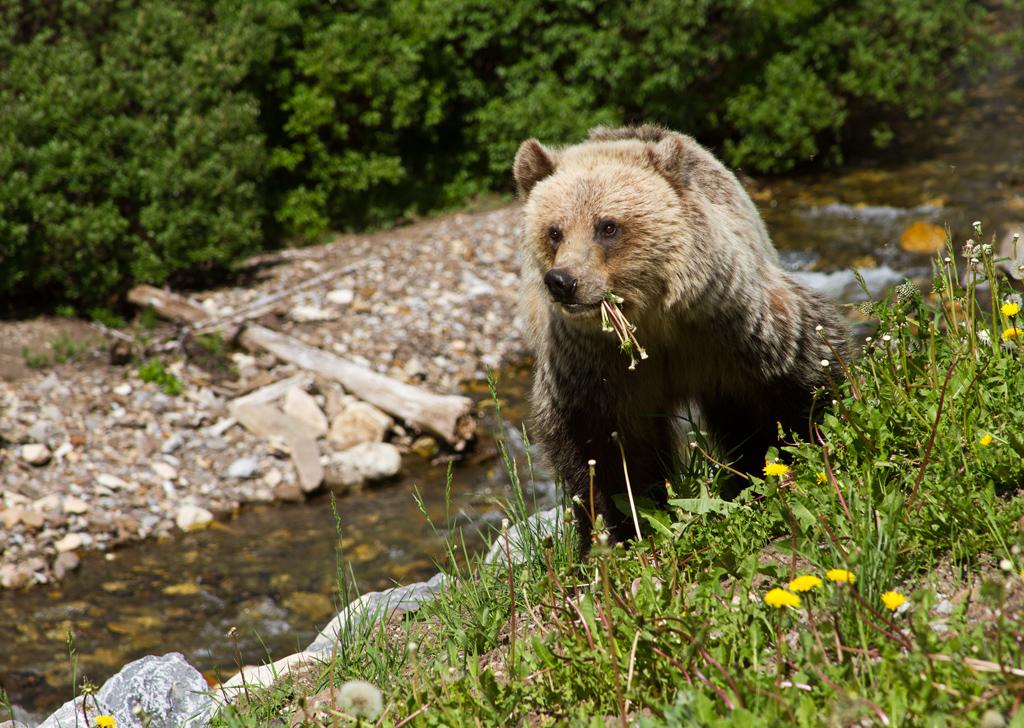 Competition entry: Lunch Time