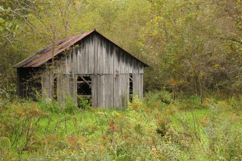 Competition entry: The Old Shed