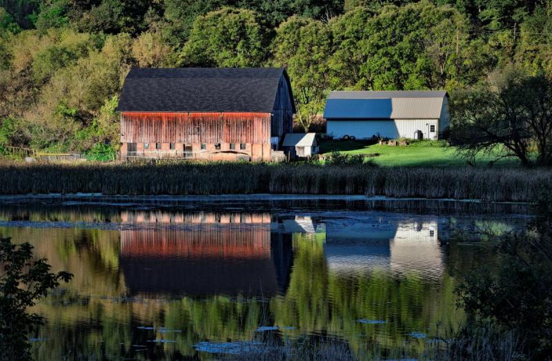 Competition entry: sunny morning reflections