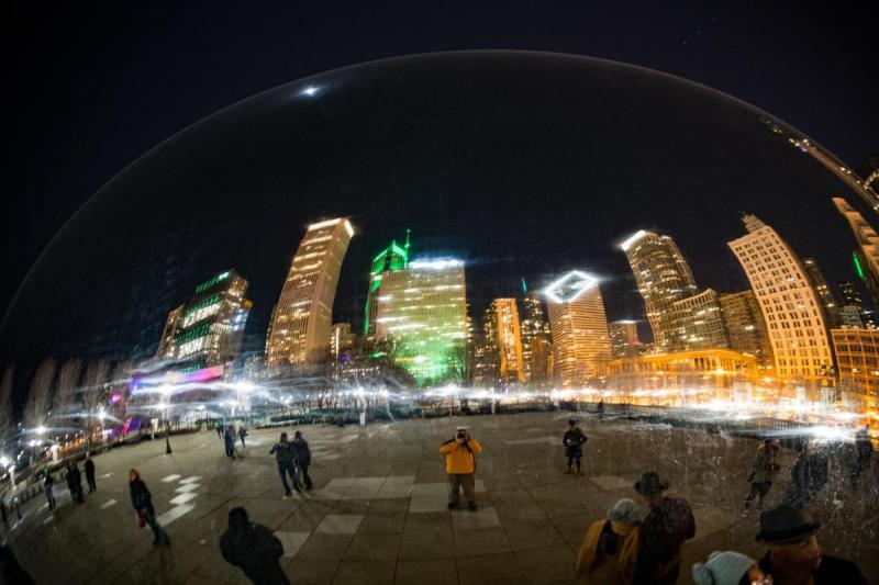 Competition entry: Self Portrait in the Bean