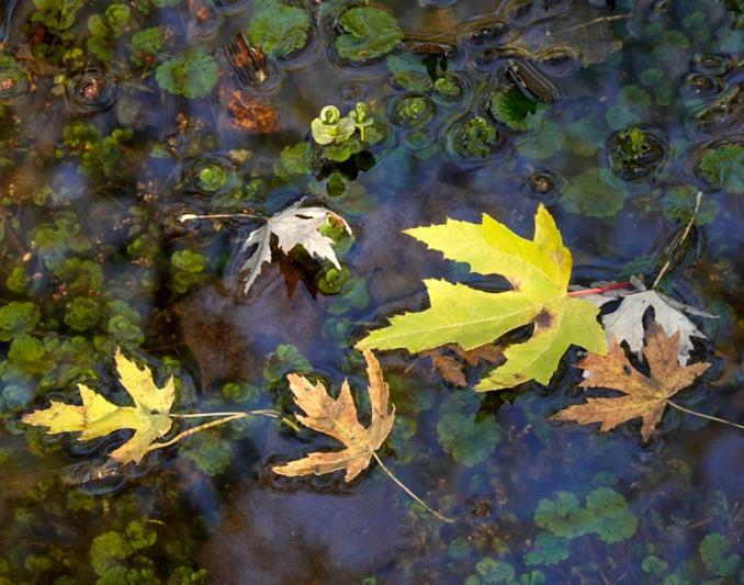 Competition entry: JUST FLOATING