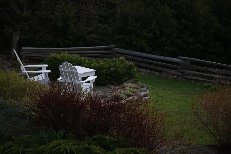 Competition entry: BACKYARD PROMISES