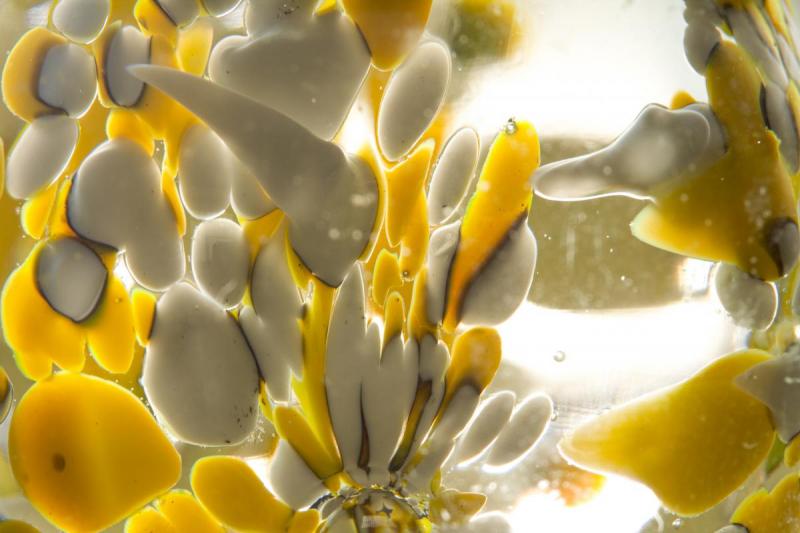 Competition entry: look into my Chrystal ball