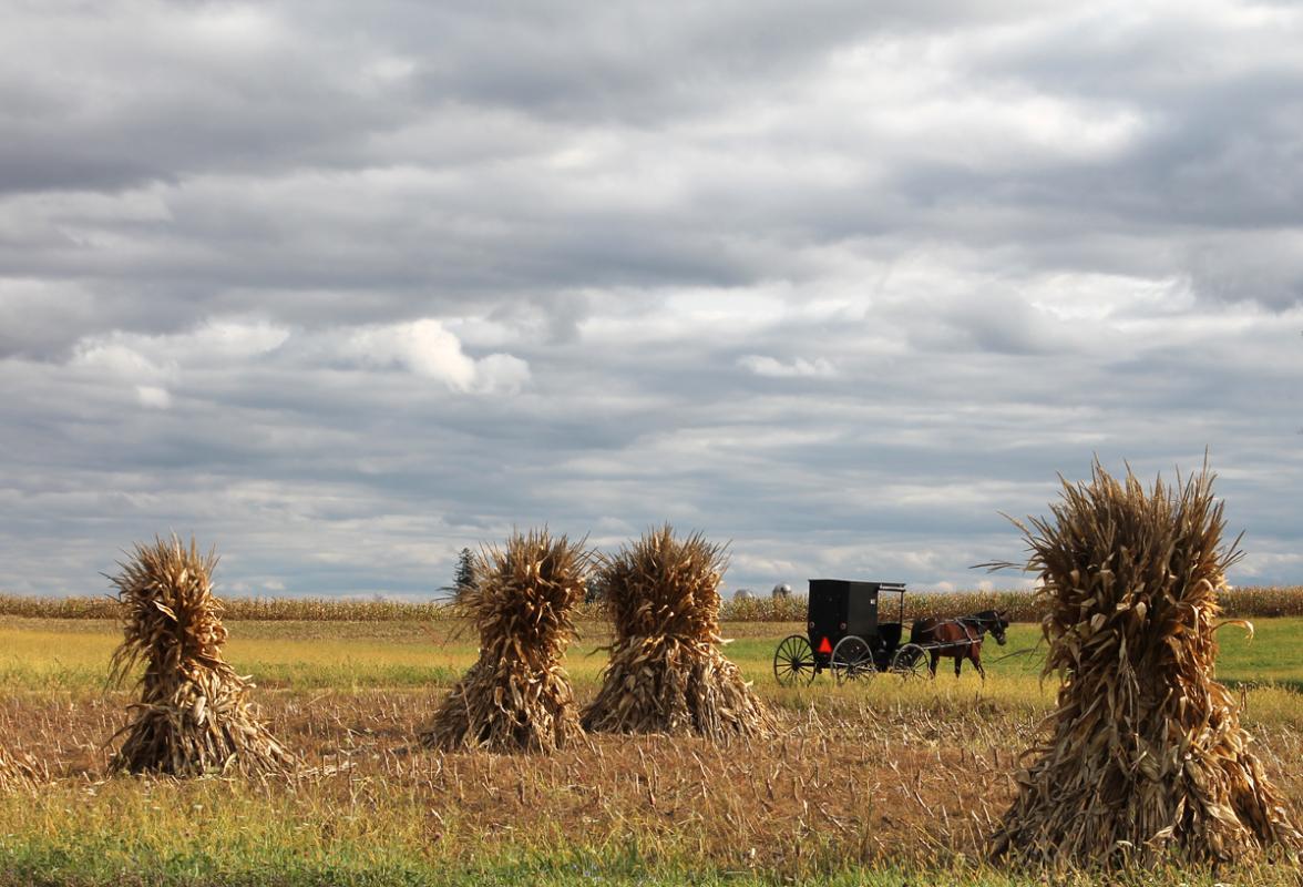 Competition entry: Heading Home
