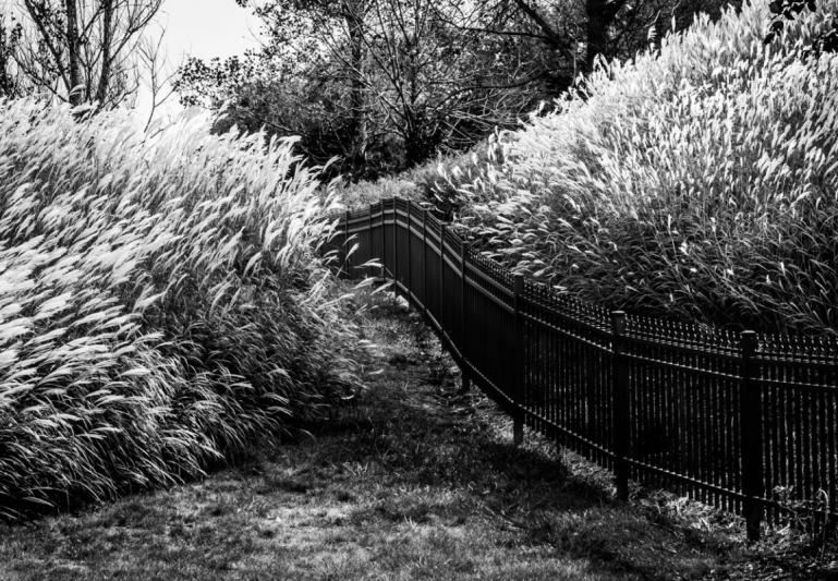 Competition entry: Blowing in the wind