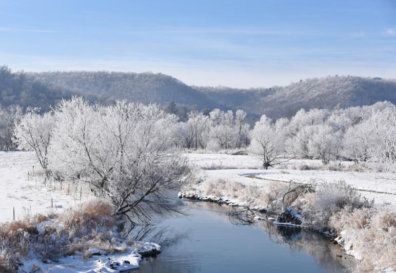Competition entry: Flowing through the Frost