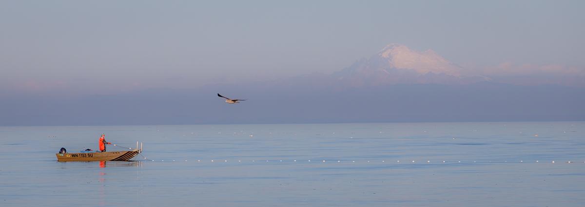 Competition entry: Calling it a Night