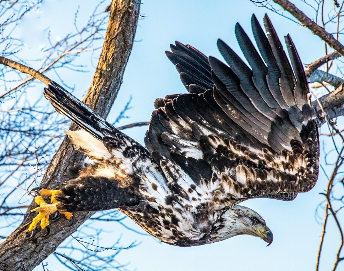 Competition entry: Lift off!