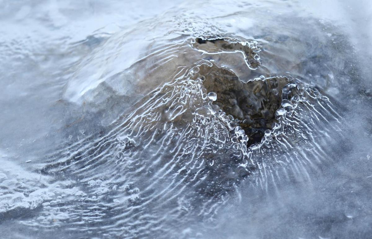 Competition entry: Nature's Fragile Heart