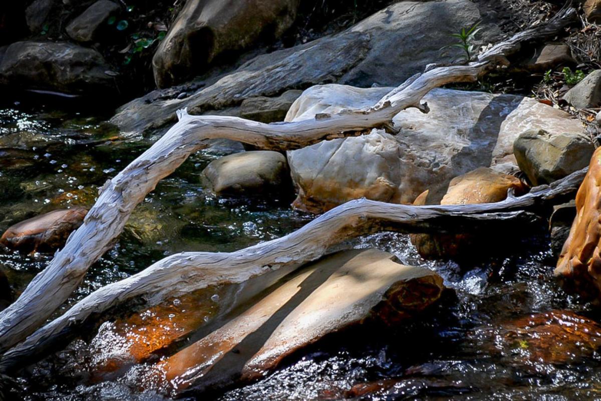 Competition entry: Shadows on the Creek