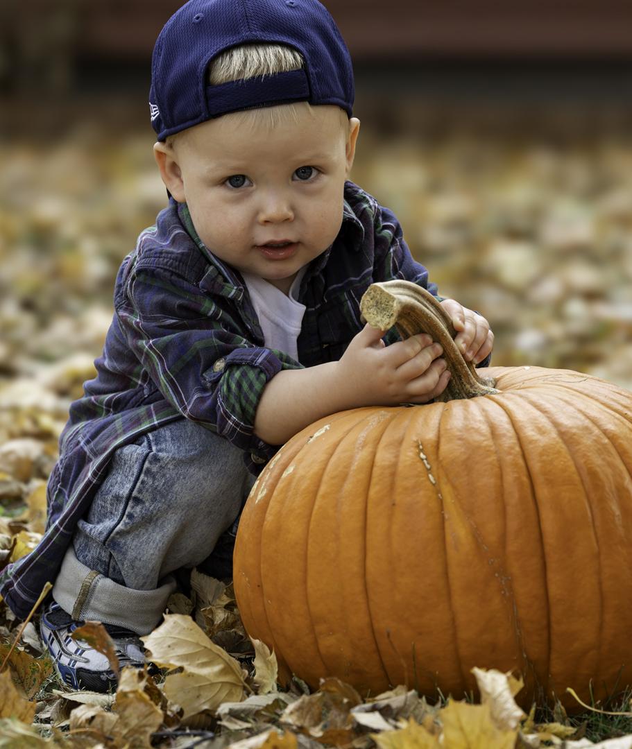 Competition entry: Look at this BIG pumpkin