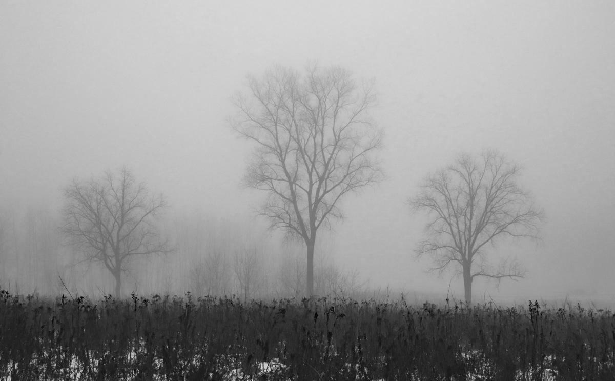 Competition entry: The Trio