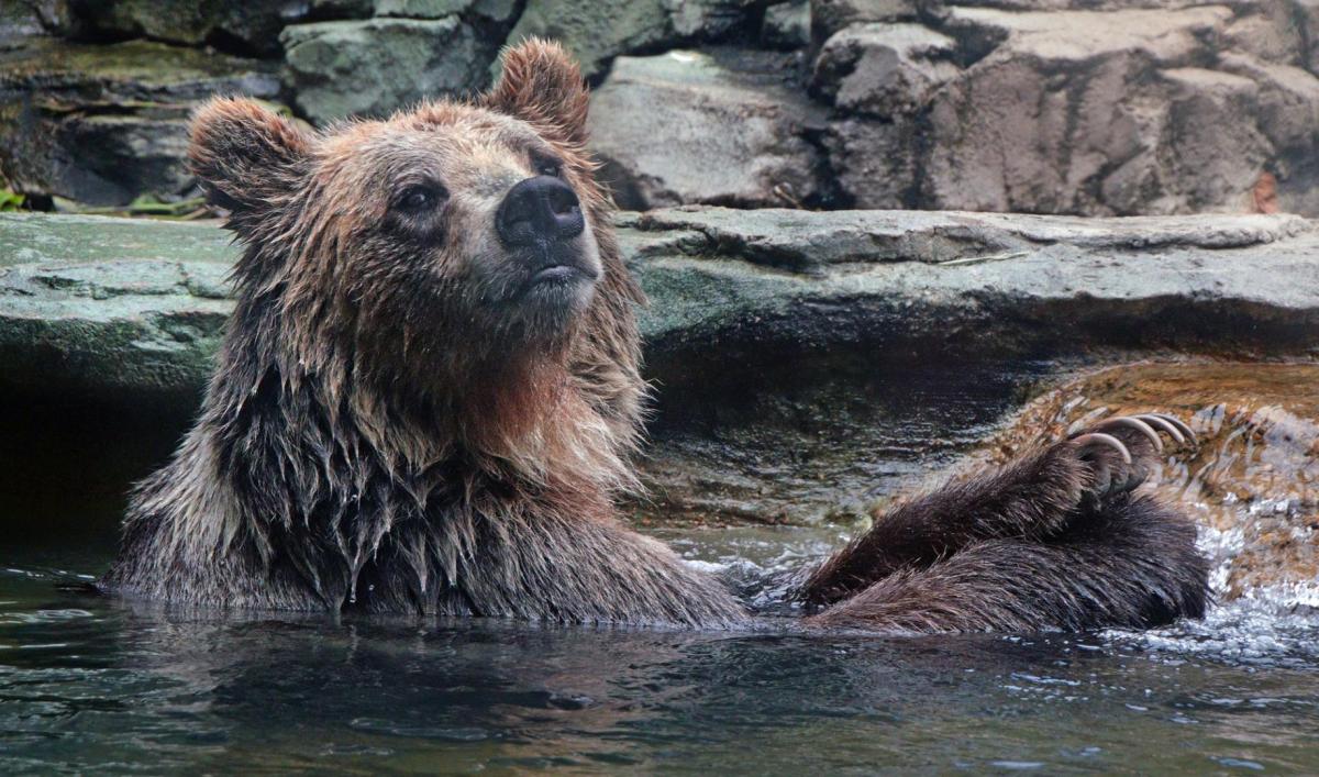 Competition entry: Cooling Off