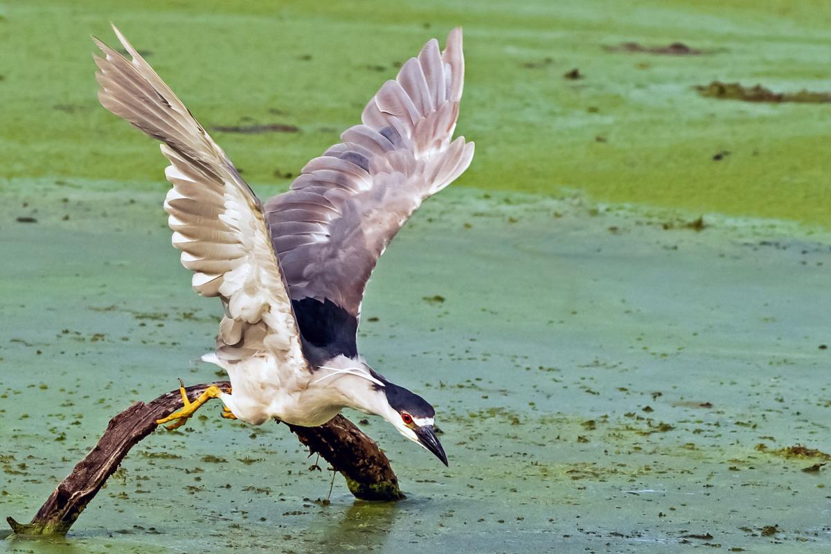 Competition entry: WE HAVE LIFTOFF