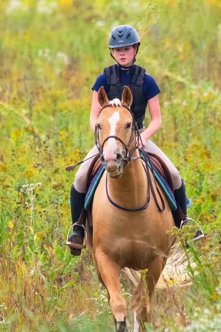 Competition entry: Out for a ride