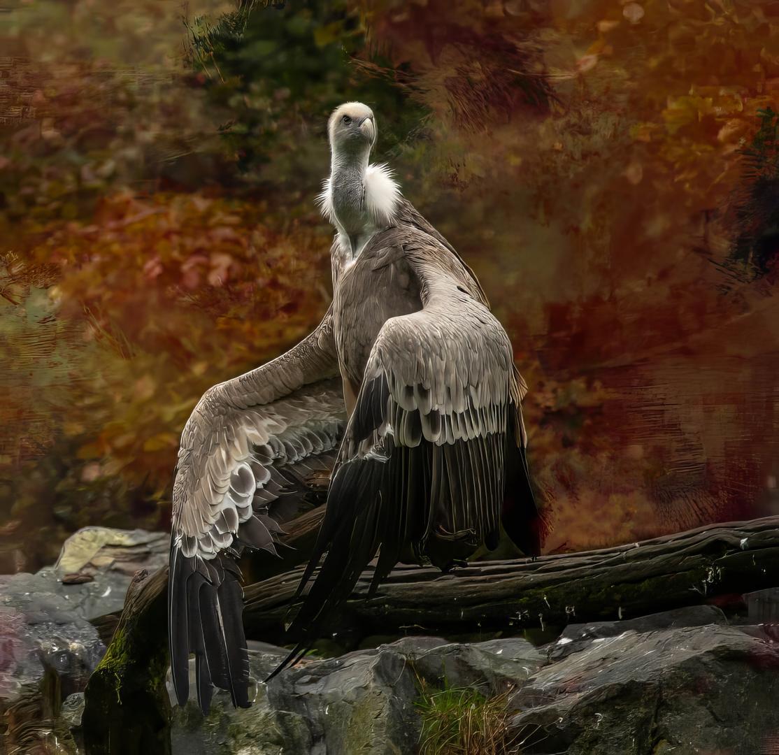 Competition entry: Posing 