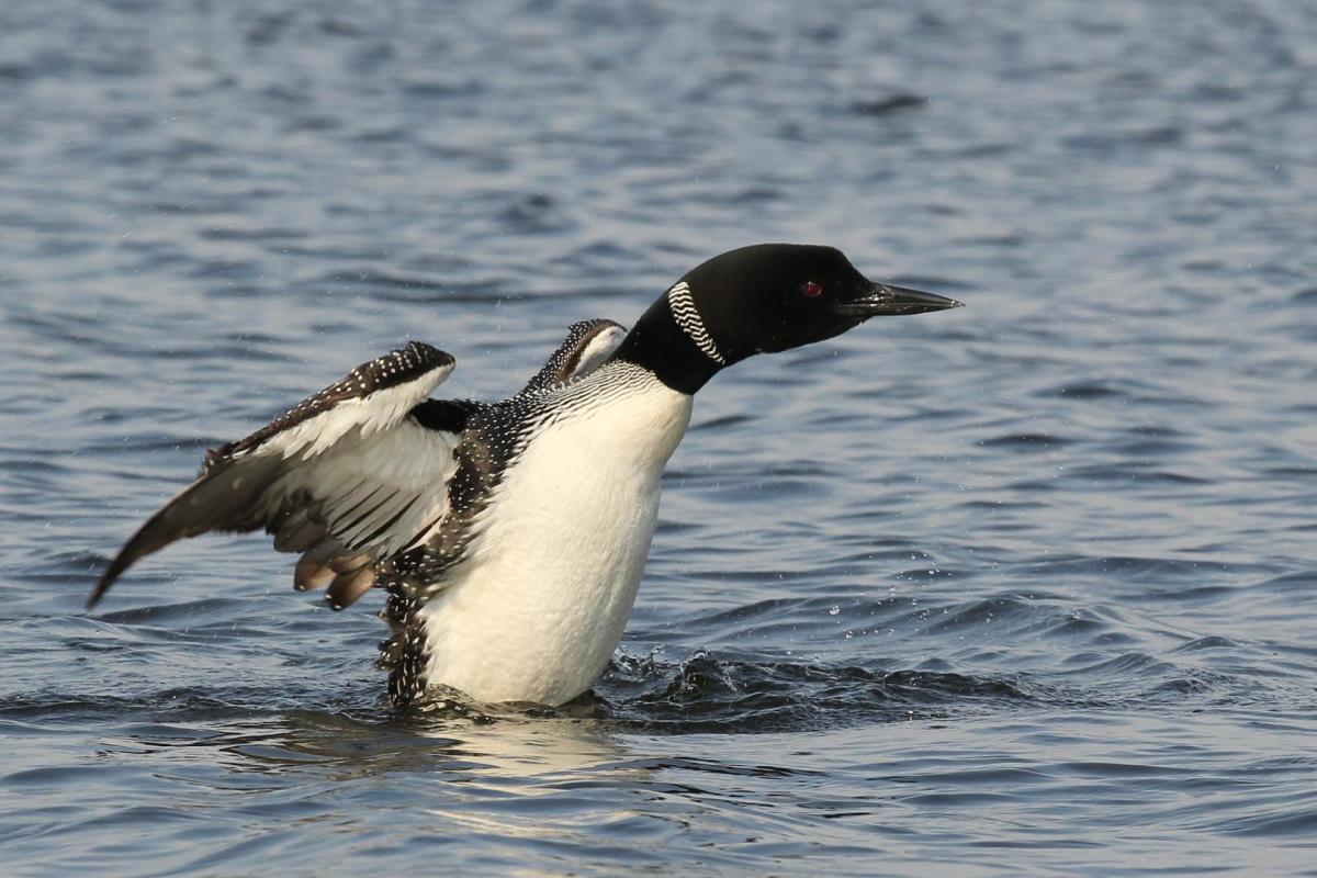 Competition entry: Stretching Out